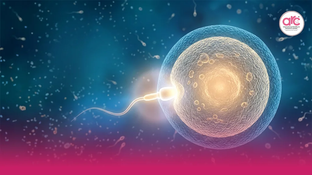 Doctor explaining anovulation treatment, causes of irregular ovulation, and fertility options for women trying to conceive
